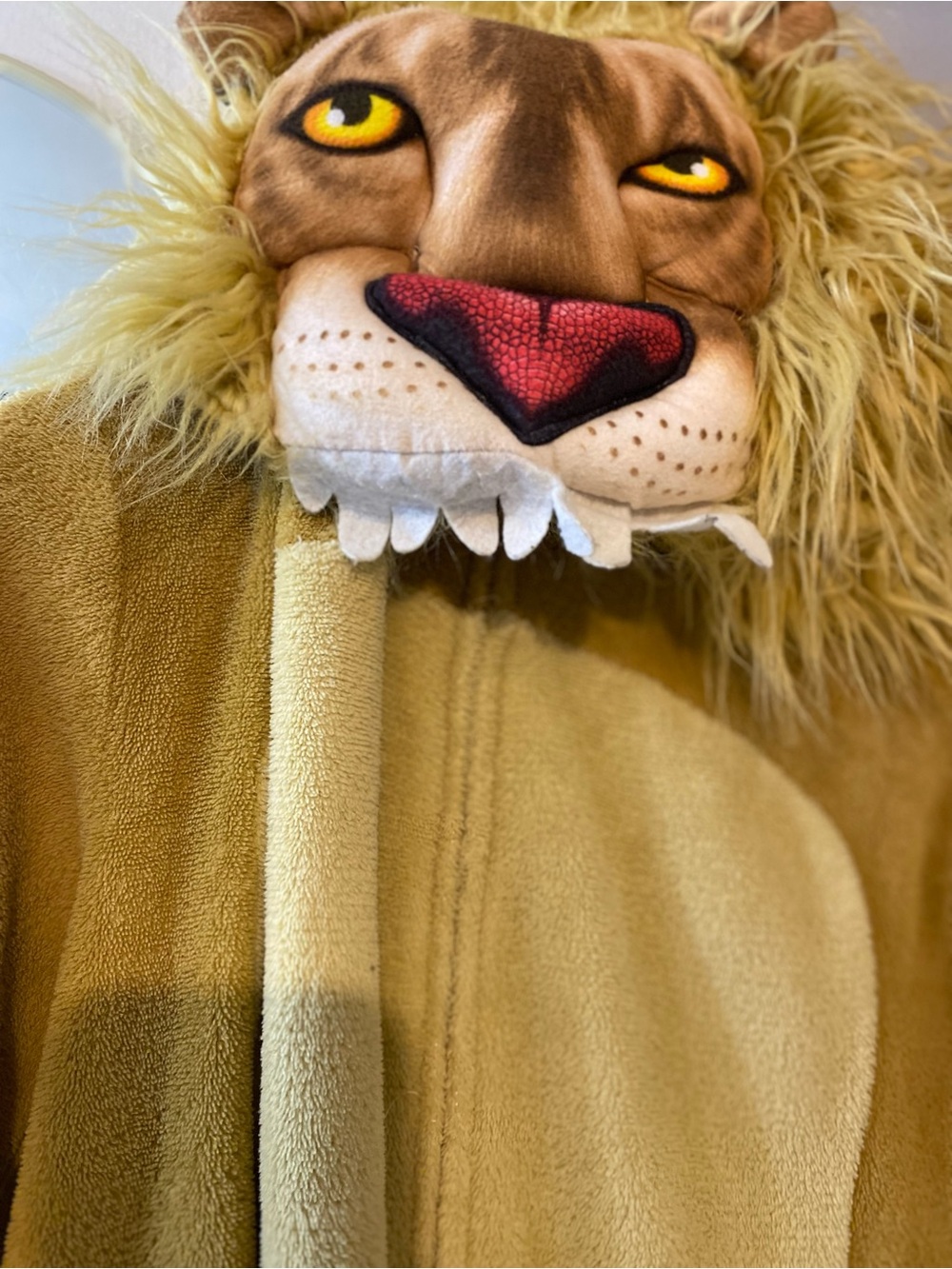 Lion Costume